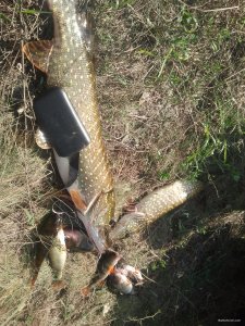 20170920_135245.jpg