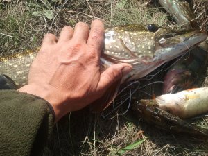 20170920_135310.jpg