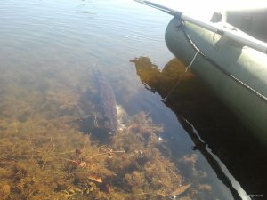 20170916_124936.jpg