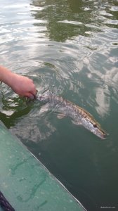 IMG_20170924_162927.jpg