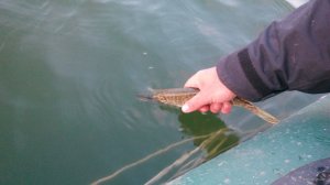 IMG_20170924_181559.jpg