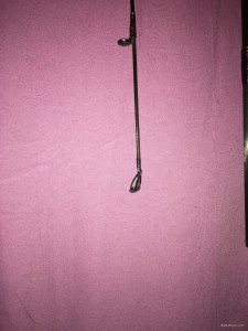 IMG_0207.JPG