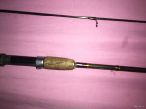 IMG_0212.JPG