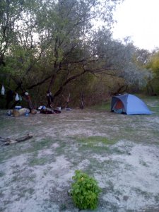 DSC_0127.jpg