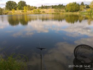 IMG_20170928_144222.jpg