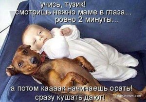 image-0-02-01-28682249b57224476d027cde47a8e5114a71ea7883c94cd348195ea4bf59048f-V.jpg