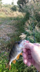 20170929_084408.jpg