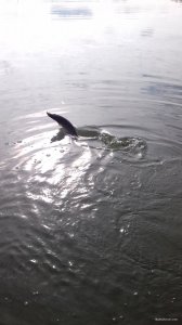 20170929_104131.jpg