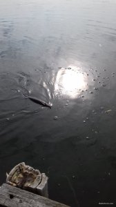 20170929_104122.jpg