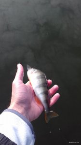 20170929_090116.jpg