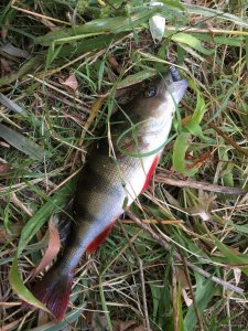 IMG_1745.JPG