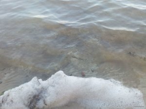 IMG_20170929_070402.jpg