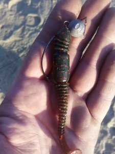 IMG_20170929_074215.jpg