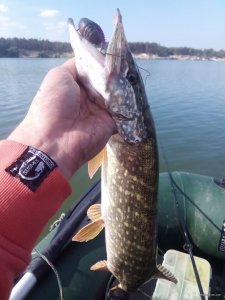IMG_20170929_110513.jpg
