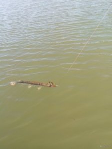 IMG_20170929_134640.jpg