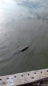 20170929_104206.jpg