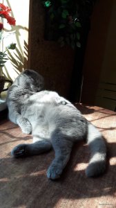 20170915_112542.jpg