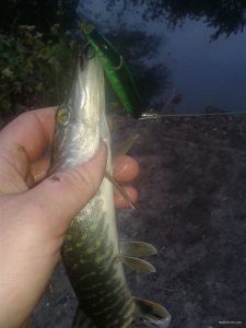 20170930_073832.jpg