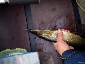 IMG_20170930_100433.jpg