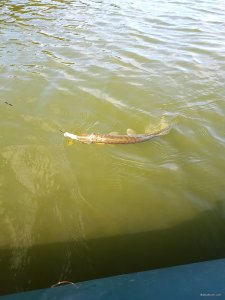 20170929_115147.jpg
