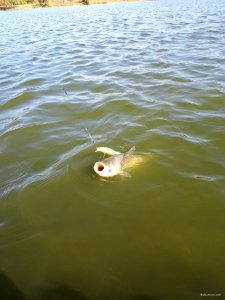20170929_122428.jpg