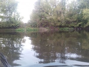 IMG_20170930_164432.jpg