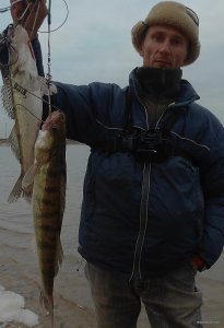 2016_0115_200049_002+.jpg