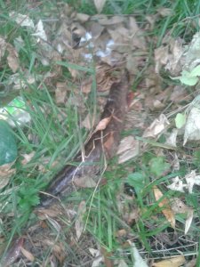 20171001_081532.jpg