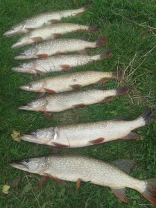 20171001_103822.jpg