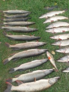 20171001_104343.jpg