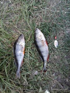 20171001_143608.jpg