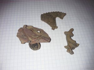 20171001_194425.jpg