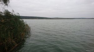DSC_0392k.jpg