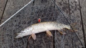 20171001_065925.jpg
