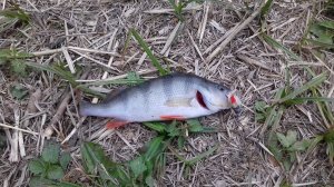 20171001_083933.jpg