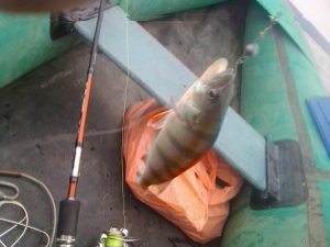 IMG_20170930_083844.jpg