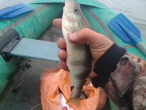 IMG_20170930_091029.jpg