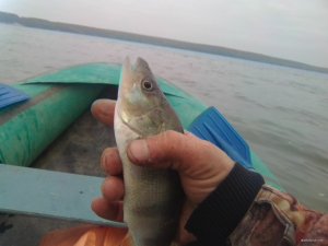IMG_20170930_091039.jpg