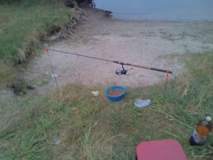 IMG_20171001_071541.jpg