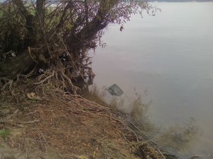 IMG_20171001_084243.jpg
