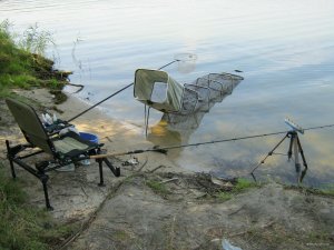IMG_1943.JPG