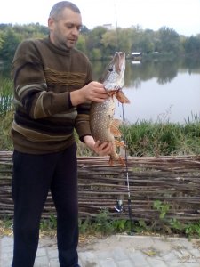 IMG_20171005_072129.jpg