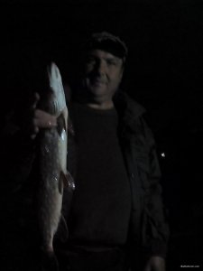 IMG_20171005_185222.jpg