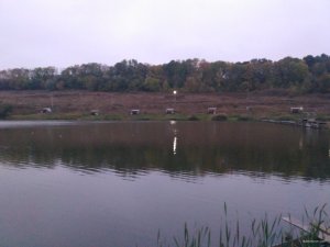 IMG_20171005_063458.jpg