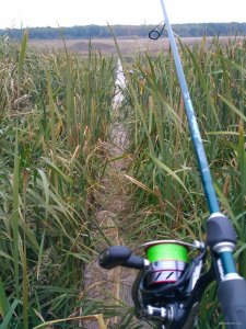 IMG_20171005_072308.jpg