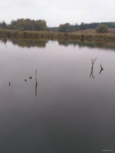 IMG_20171005_073453.jpg