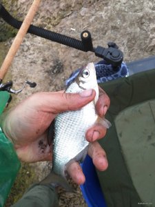 IMG_20171006_175320.jpg