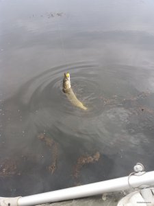 20171007_135018.jpg