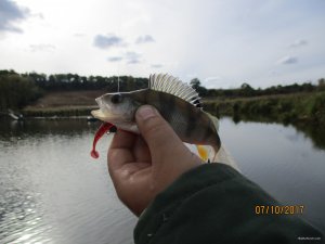 IMG_0078.JPG