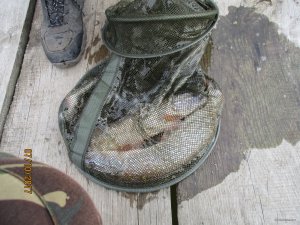 IMG_0079.JPG